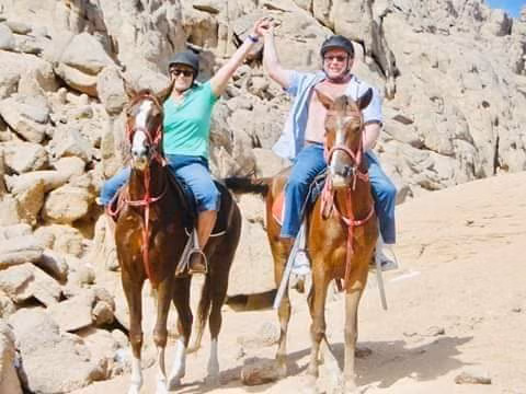 Horse Ride in Sharm EL Sheikh Desert one Hour Trip