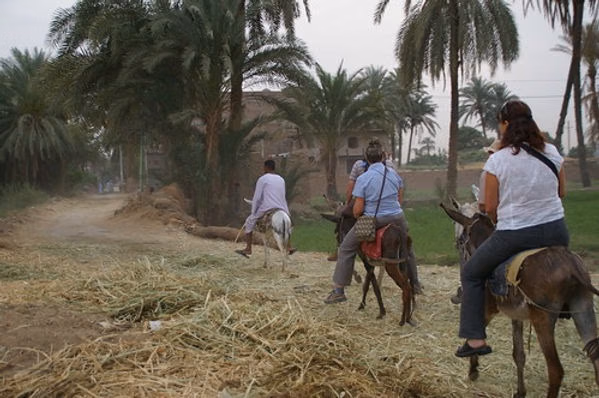 Luxor Country village Donkey Ride & Local Lunch or Dinner