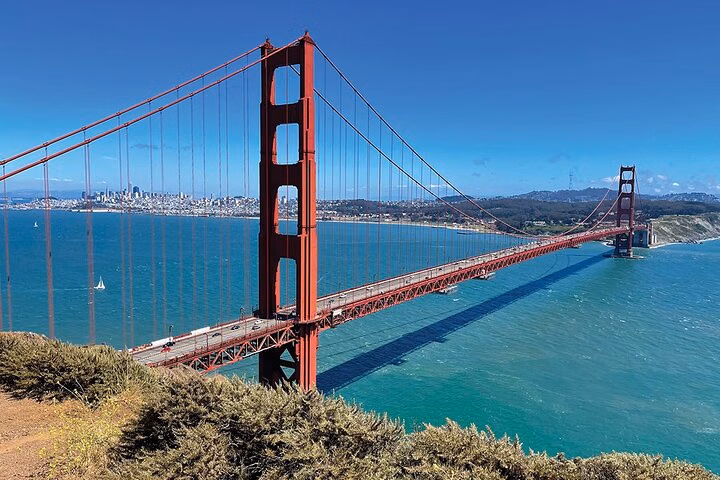 From SF - Day Trip to Muir Woods, Golden Gate Bridge & Sausalito