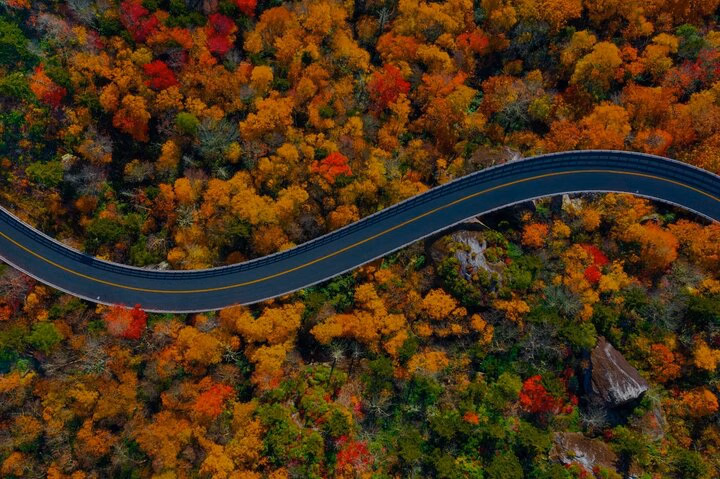Full Day Tour from Atlanta to Amicalola Falls and Blue Ridge
