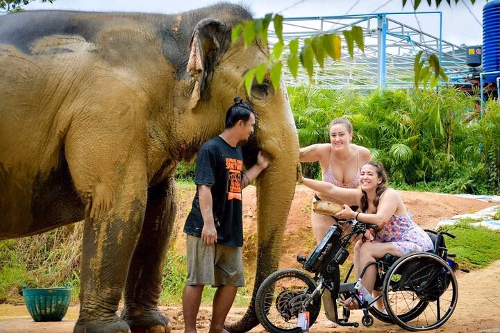 Pattaya Elephant Jungle Sanctuary Entry ticket