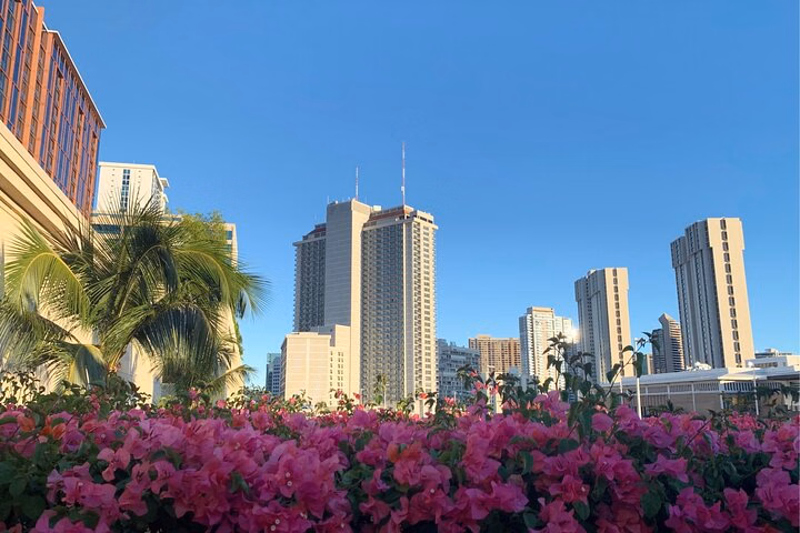 Honolulu Scavenger Hunt & Highlights Self-Guided Walking Tour