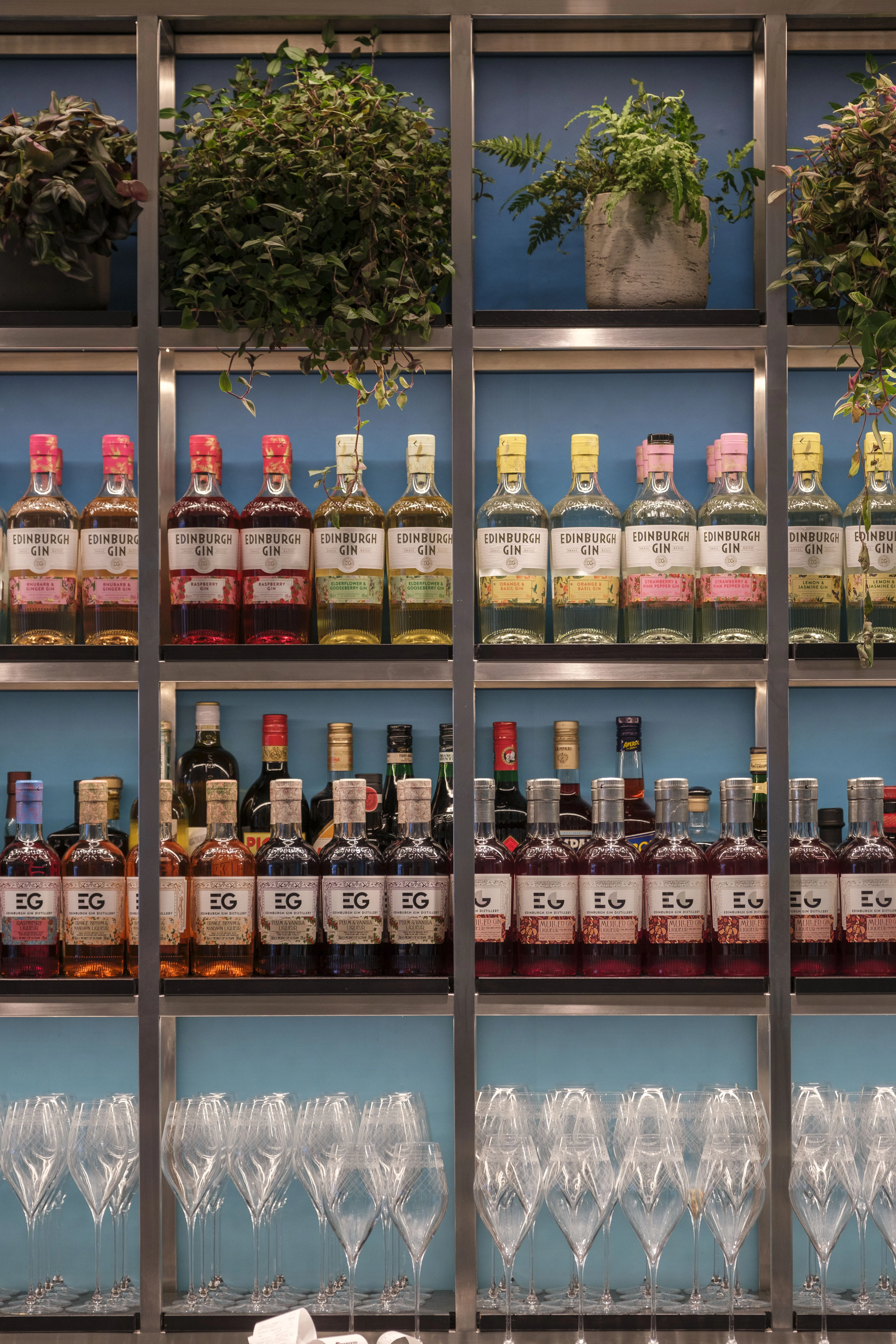 Edinburgh City & Gin Tasting Experience - Private Day Tour