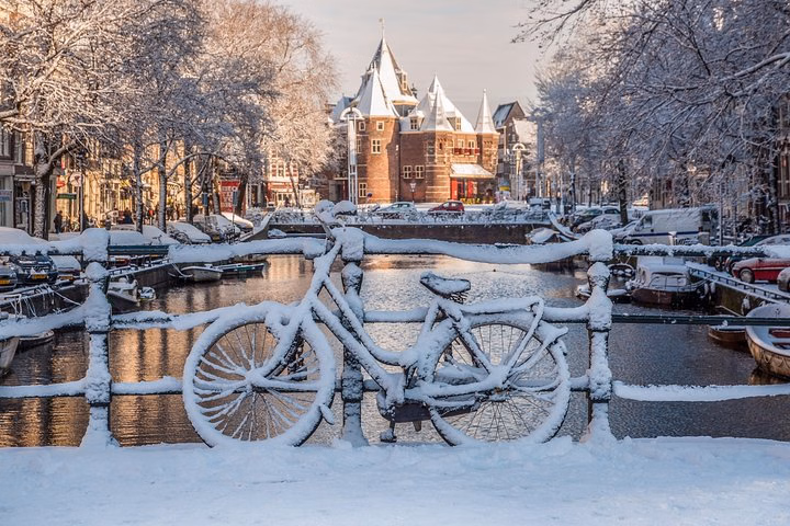 Amsterdam Light Festival Winter Walk with Stroopwafel Tasting