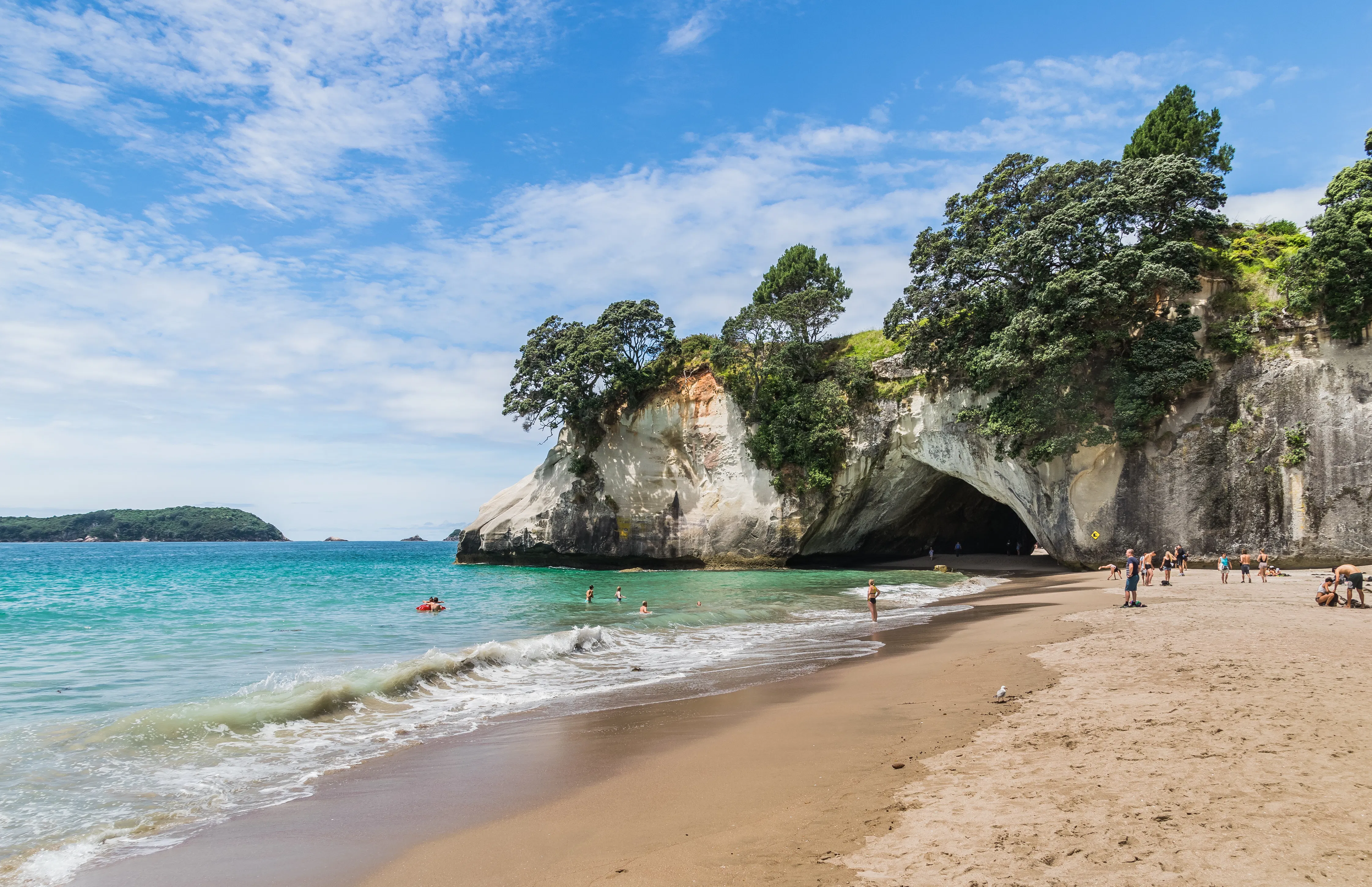 Amazing Cathedral Cove with Hot Water Beach Day Tour