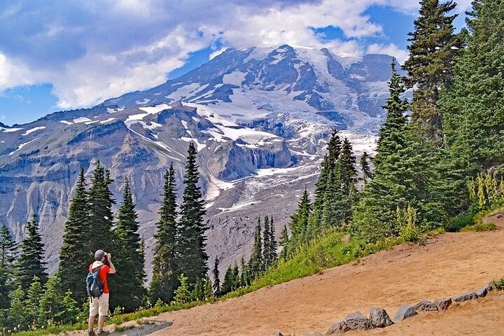From Seattle-Full-Day Mt Rainier National Park Private Tour in SUV
