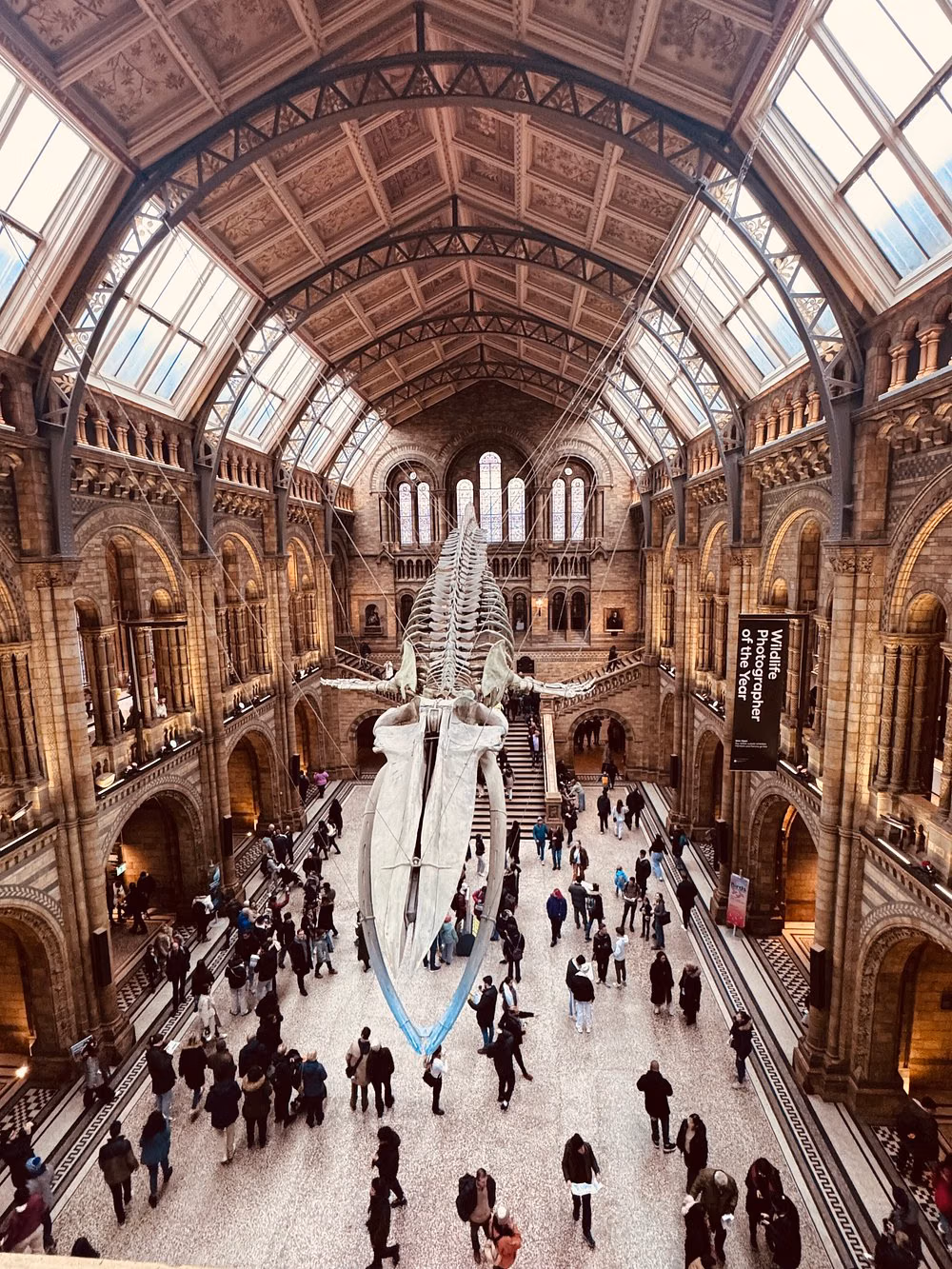 London Natural History Museum's Entry Reservation with Audio Tour
