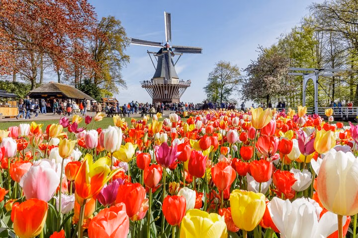 Keukenhof Tulip Garden Fast Track Entry Ticket